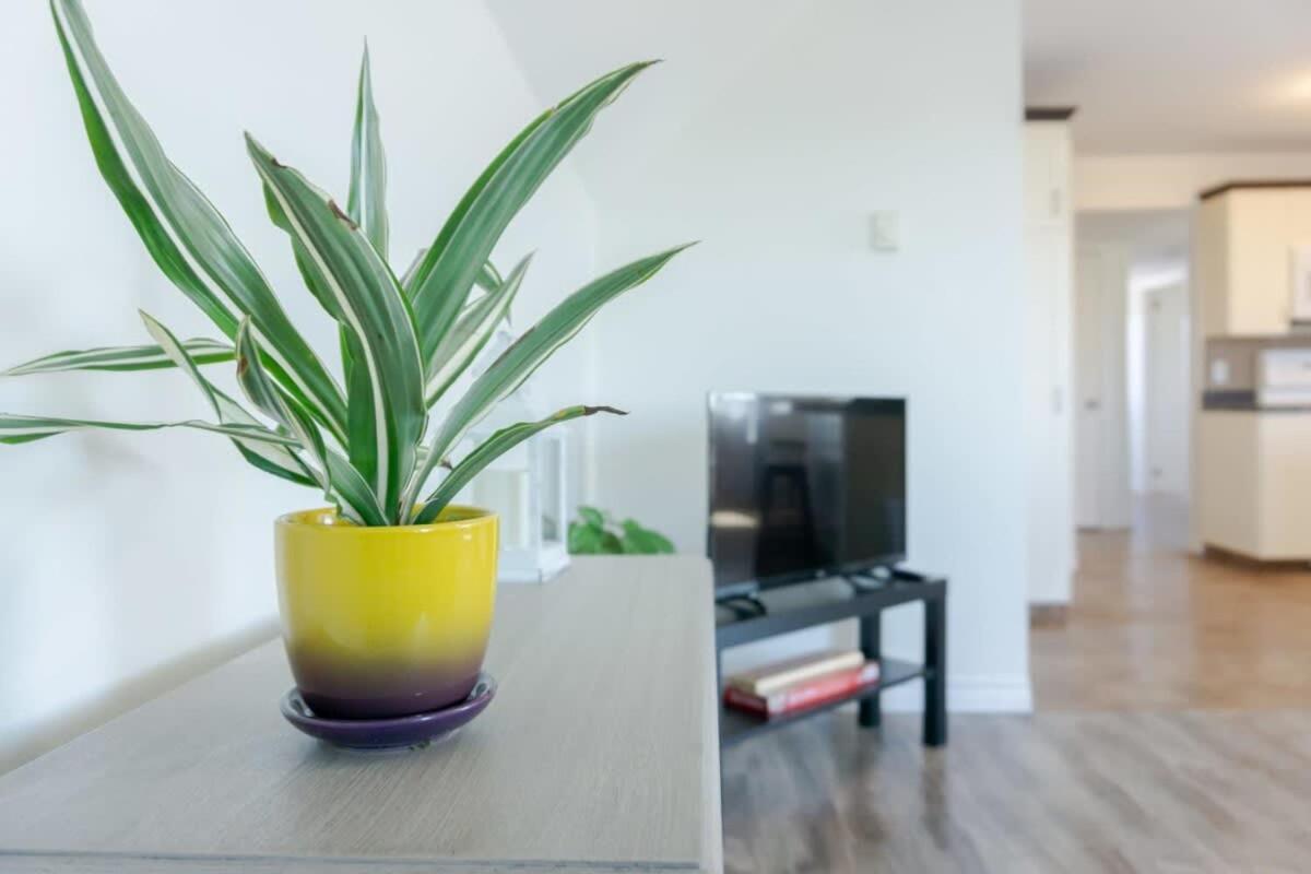 Amazing Location In Saint John 2 Bedroom Modern Parking New Exteriör bild