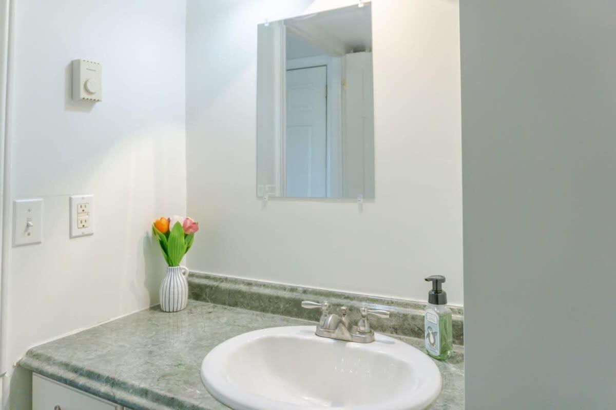 Amazing Location In Saint John 2 Bedroom Modern Parking New Exteriör bild